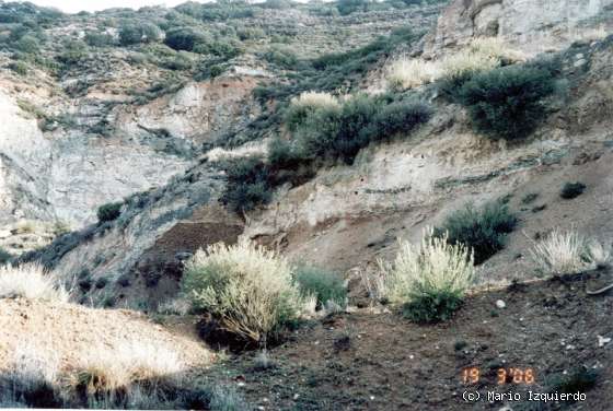 Hontoba: Arcillas yesíferas, yesos y carbonatos