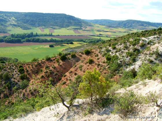 Loranca de Tajuña: Depósitos del Neógeno y Cuaternario