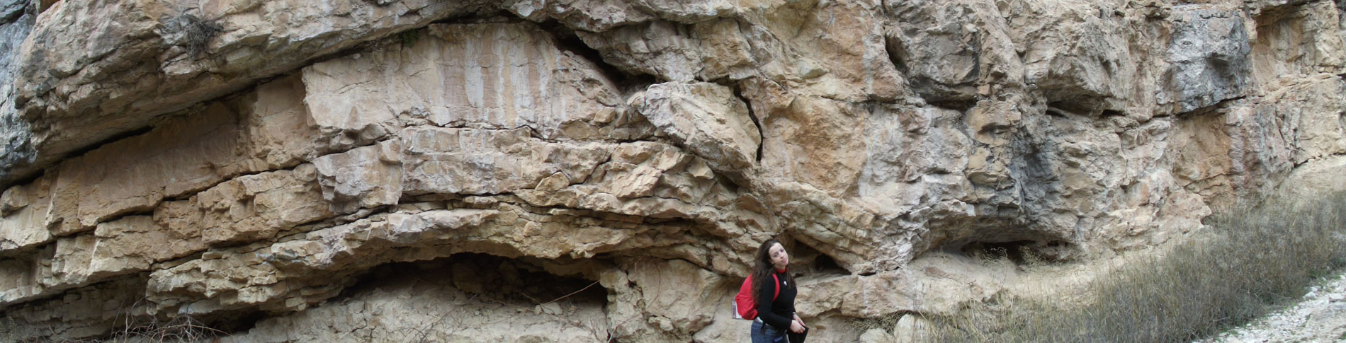 Anticlinal