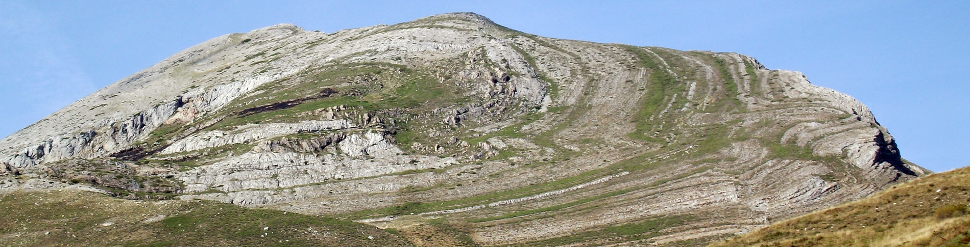 Anticlinal