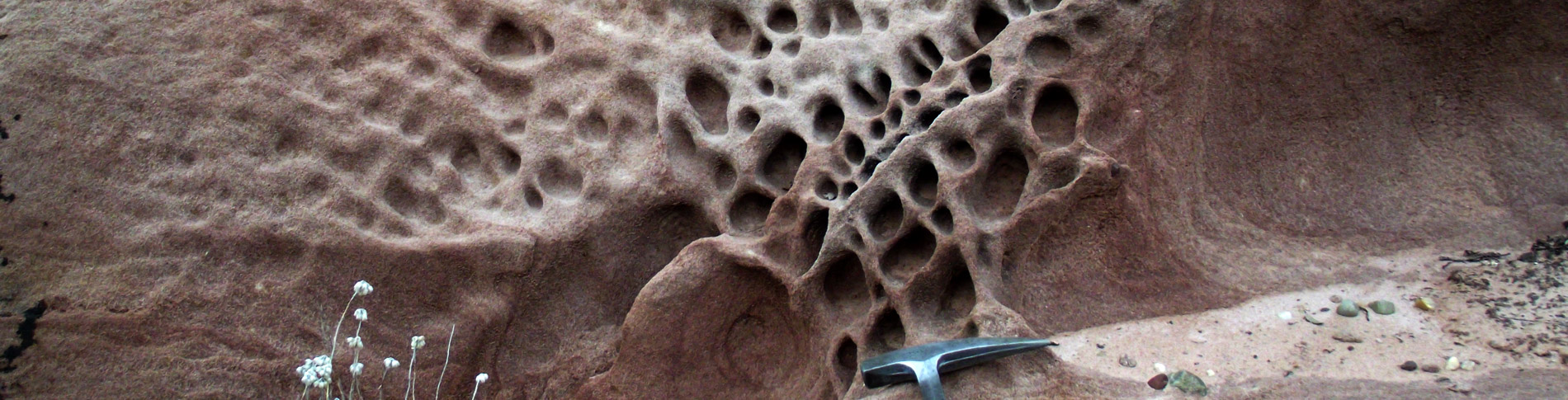 Tafoni