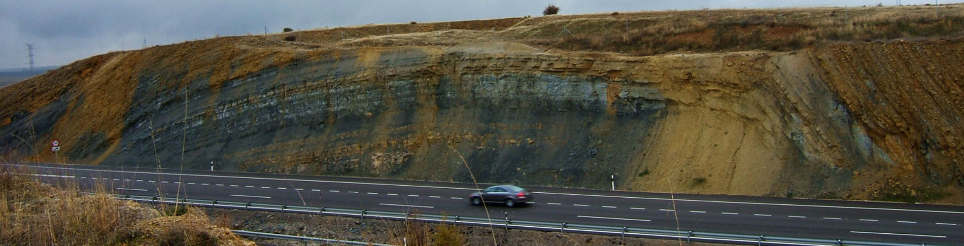 Anticlinal