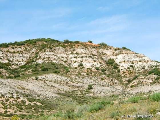 Arcillas, Arcillas yesíferas y Yesos